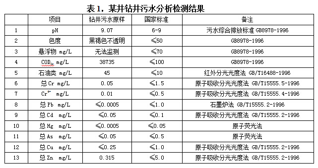 某井鉆井污水分析檢測(cè)結(jié)果